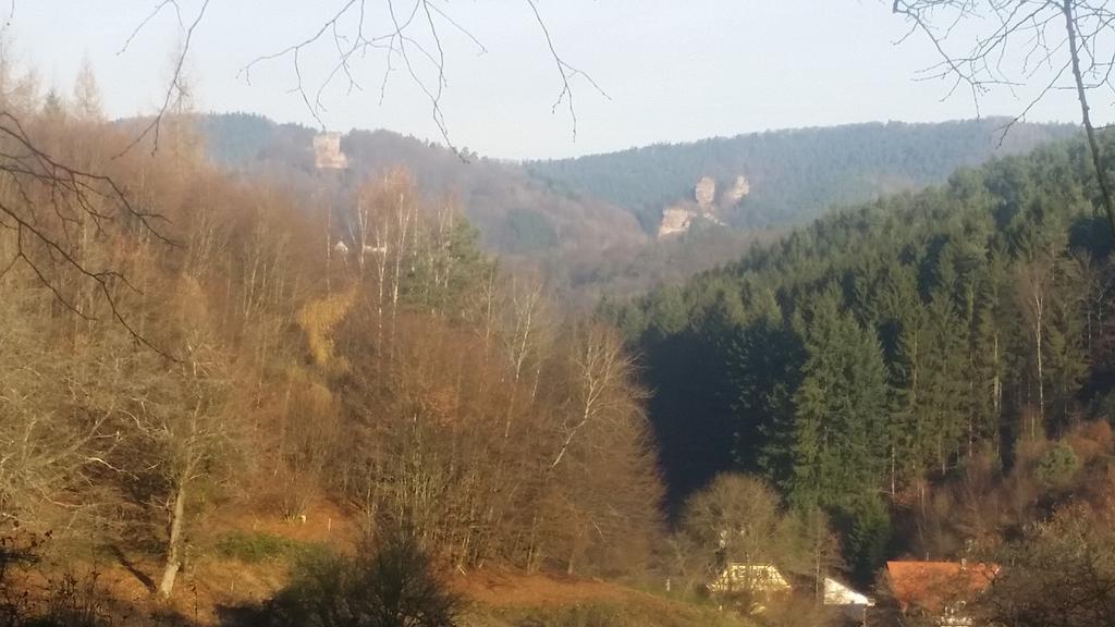 Le Wineck Villa Dambach Exterior photo